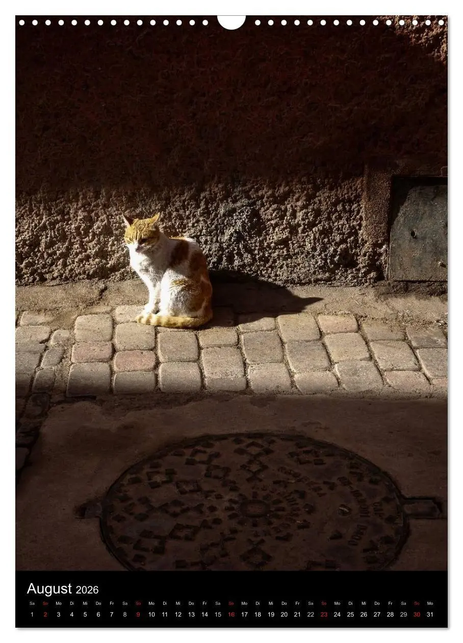 Bild: 9783516456936 | Katzen in Marokko (Wandkalender 2026 DIN A3 hoch), CALVENDO...