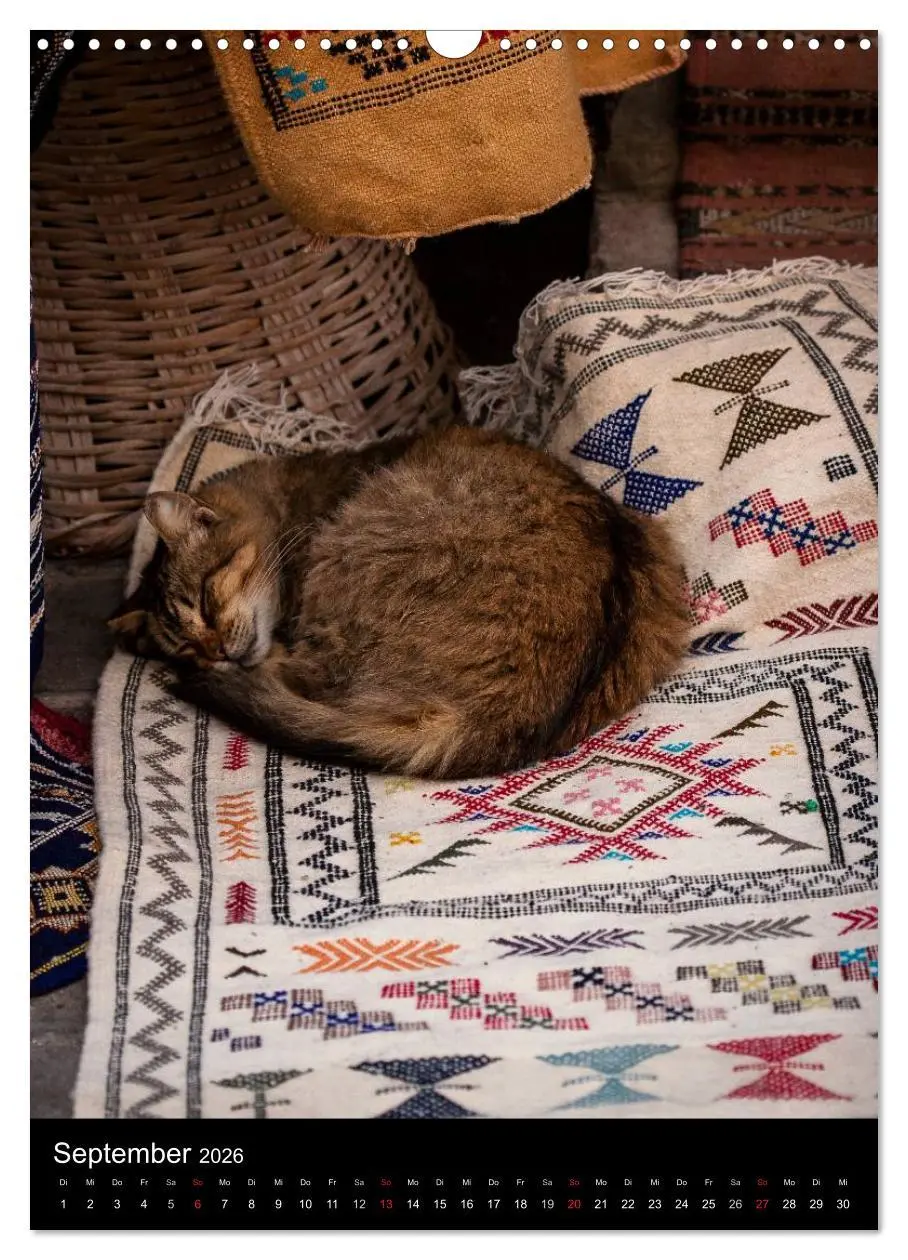 Bild: 9783516456936 | Katzen in Marokko (Wandkalender 2026 DIN A3 hoch), CALVENDO...