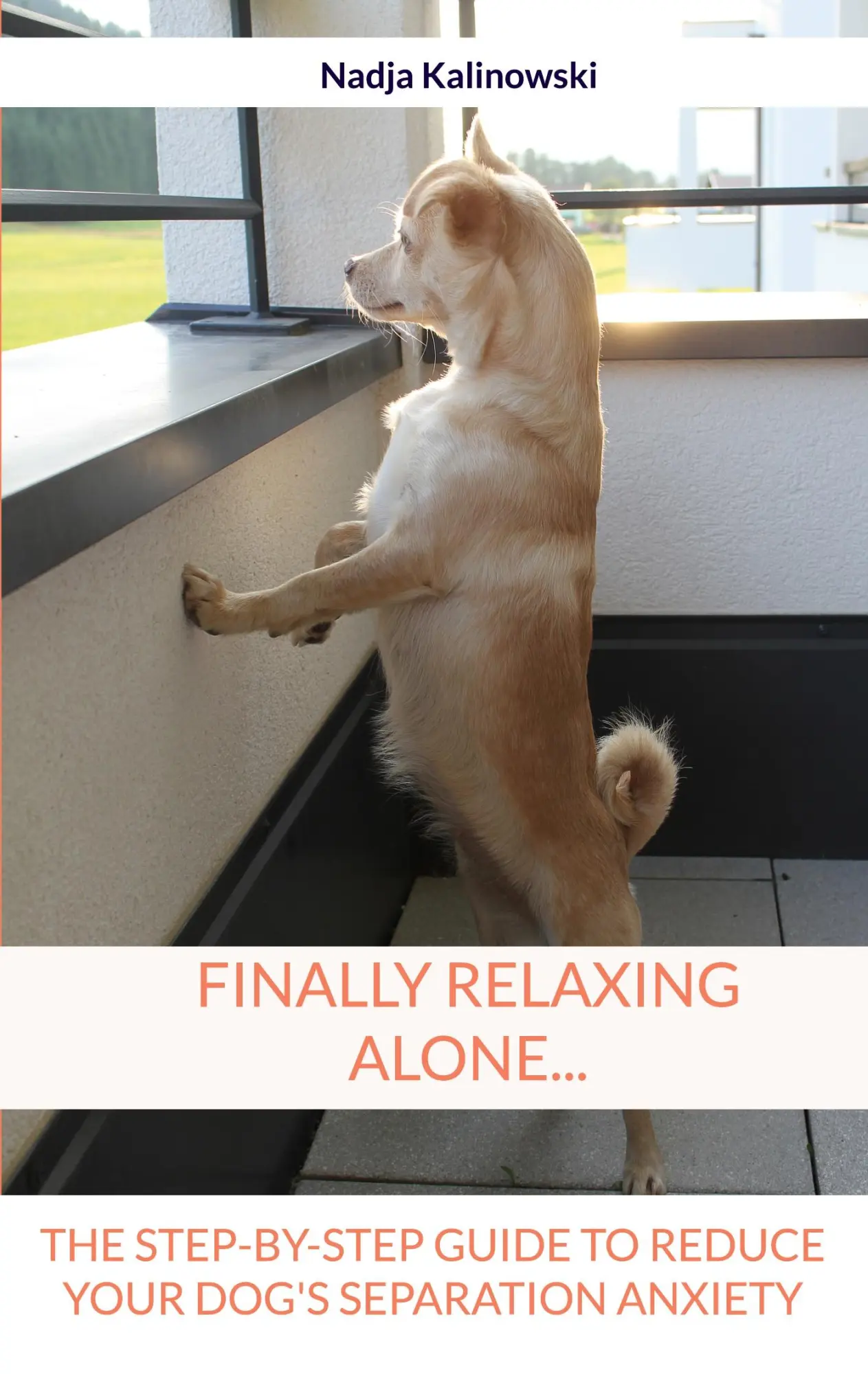 FINALLY RELAXING ALONE...: THE STEP-BY-STEP GUIDE TO REDUCE YOUR DOG'S SEPARATION ANXIETY