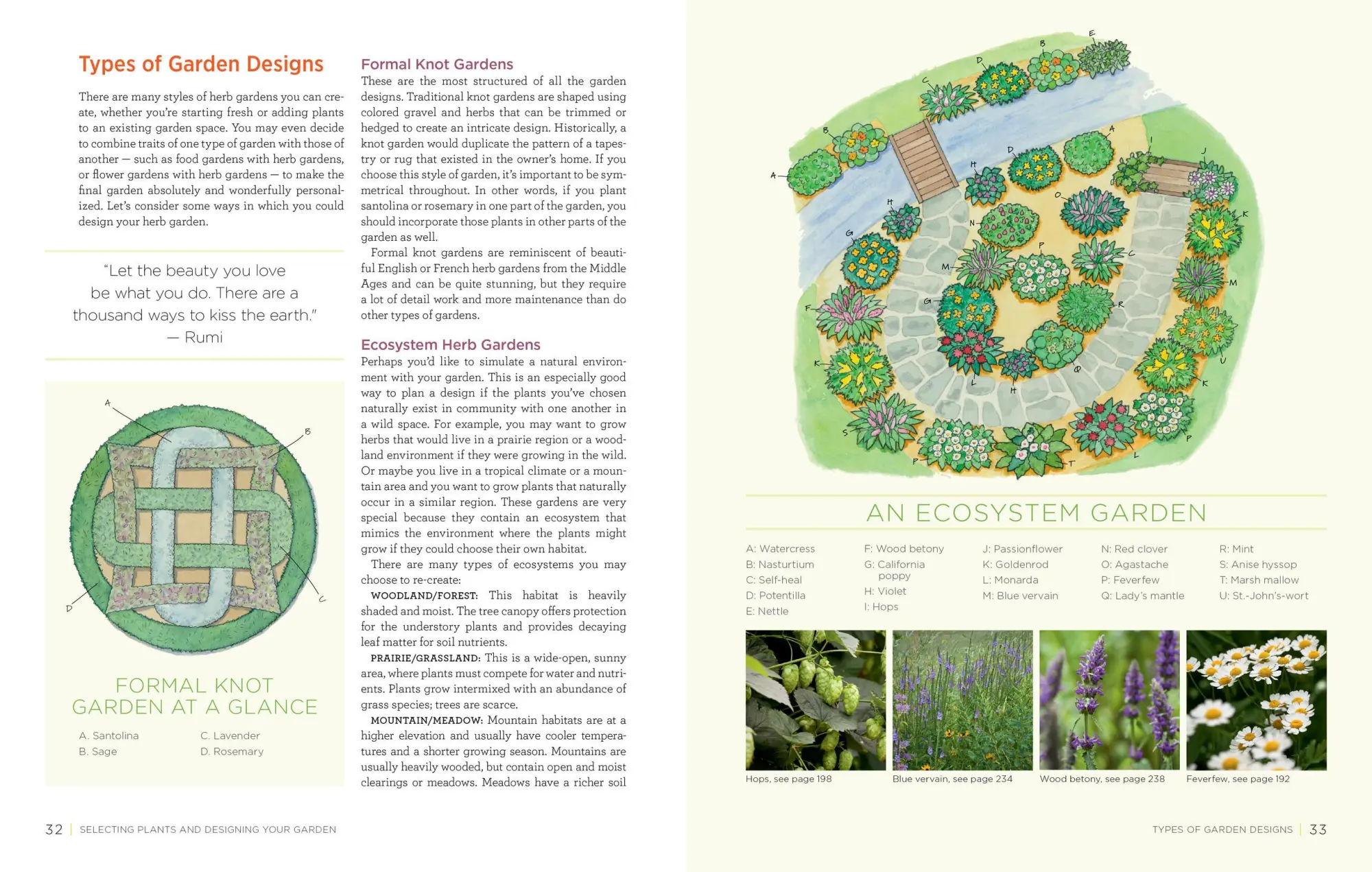 Bild: 9781603427036 | Homegrown Herbs | Tammi Hartung | Taschenbuch | Englisch | 2011