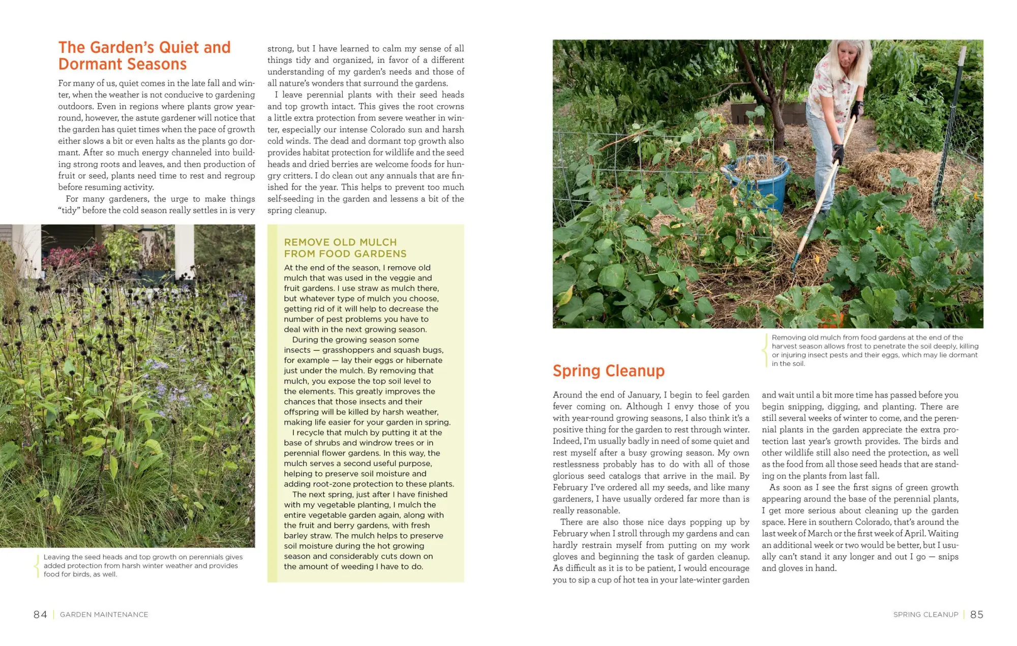 Bild: 9781603427036 | Homegrown Herbs | Tammi Hartung | Taschenbuch | Englisch | 2011
