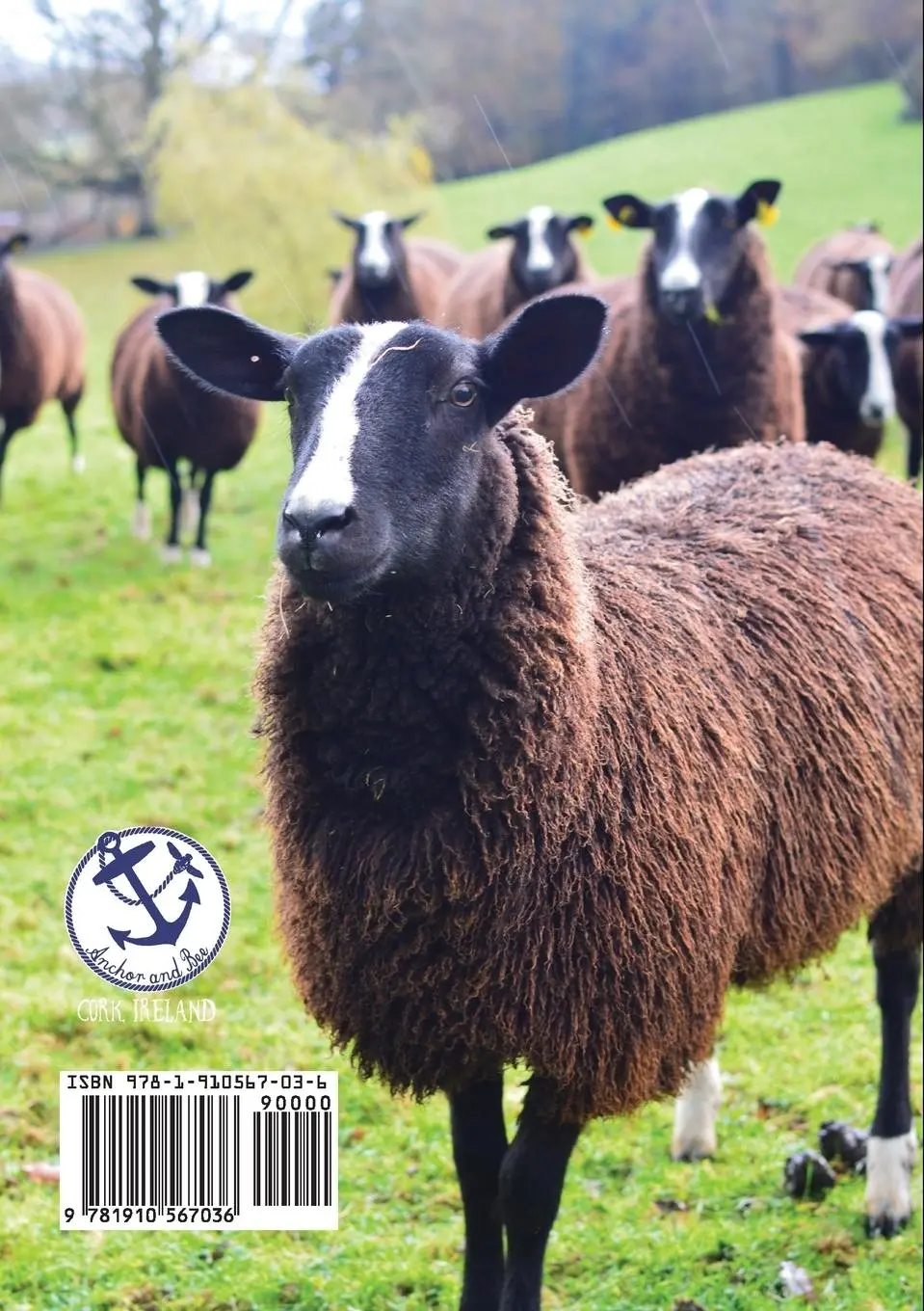 Rückseite: 9781910567036 | These Islands | Knits from Ireland, Scotland, and Britain | Buch