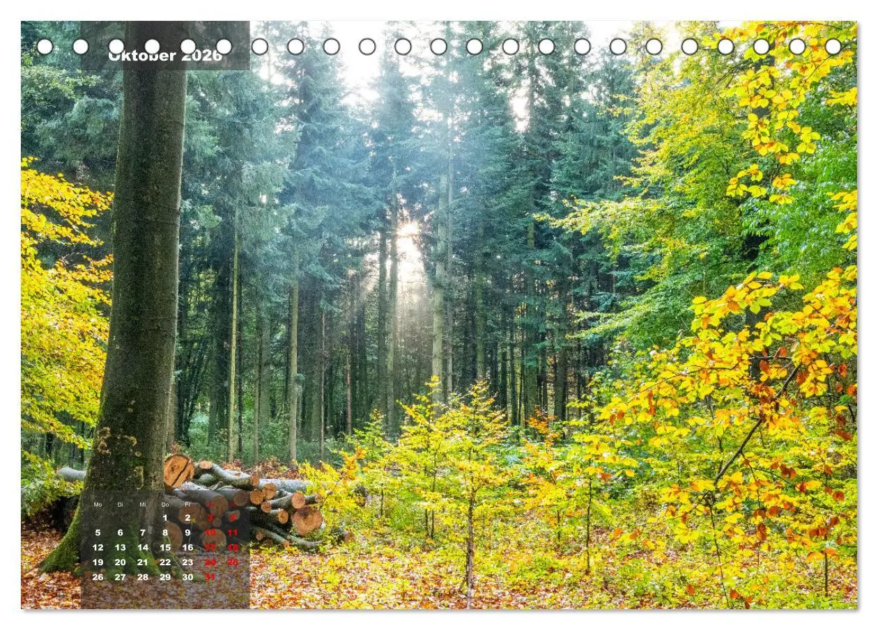 Bild: 9783457497036 | Ein Jahr Niederrhein Momente der Natur (Tischkalender 2026 DIN A5...