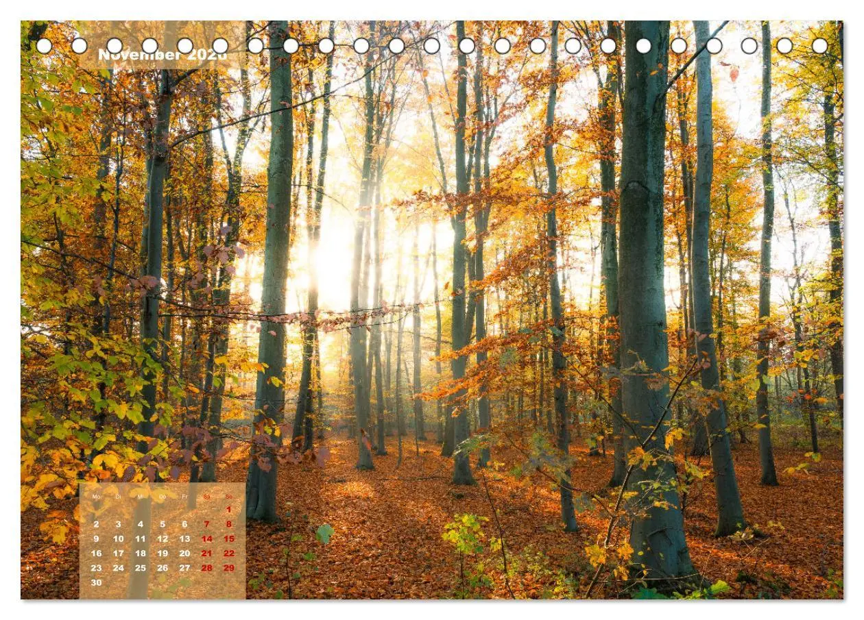 Bild: 9783457497036 | Ein Jahr Niederrhein Momente der Natur (Tischkalender 2026 DIN A5...