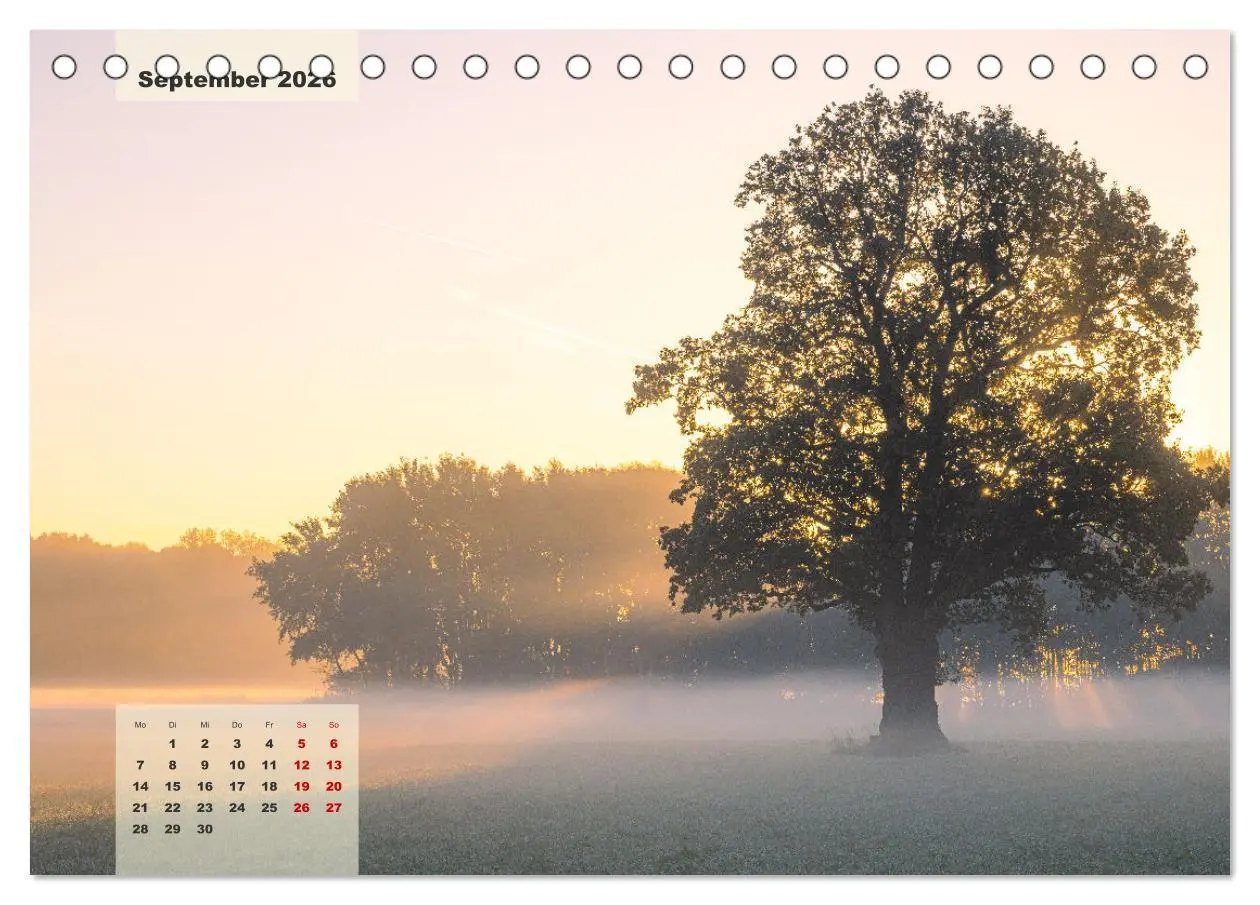 Bild: 9783457497036 | Ein Jahr Niederrhein Momente der Natur (Tischkalender 2026 DIN A5...
