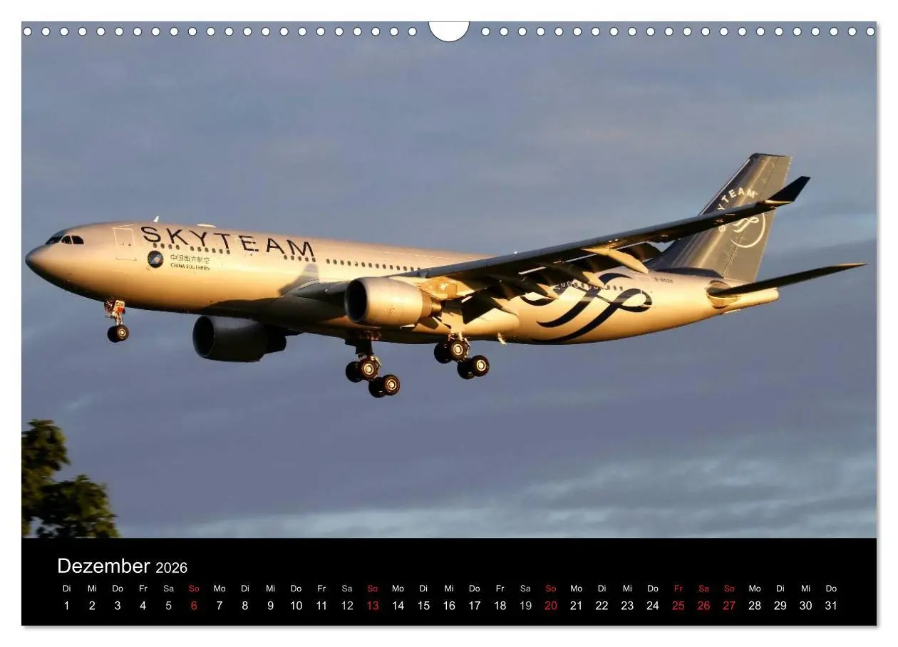 Bild: 9783516037036 | Schönheit der Flugzeuge (Wandkalender 2026 DIN A3 quer), CALVENDO...