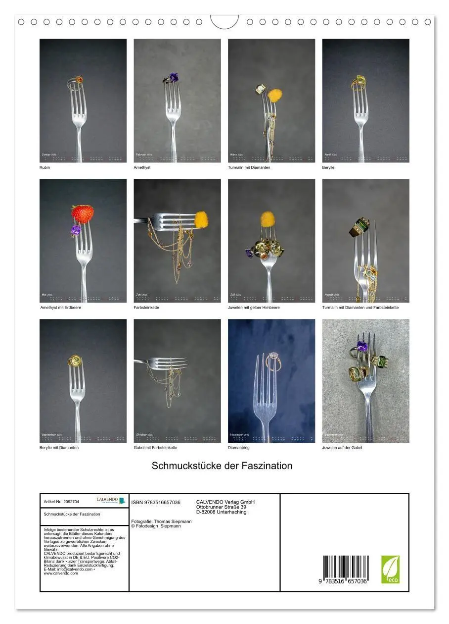 Bild: 9783516657036 | Schmuckstücke der Faszination (Wandkalender 2026 DIN A3 hoch),...