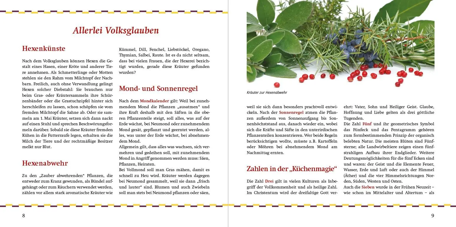 Bild: 9783897987036 | Rezepte aus meiner Hexenküche | Regina Röhner | Buch | 96 S. | Deutsch