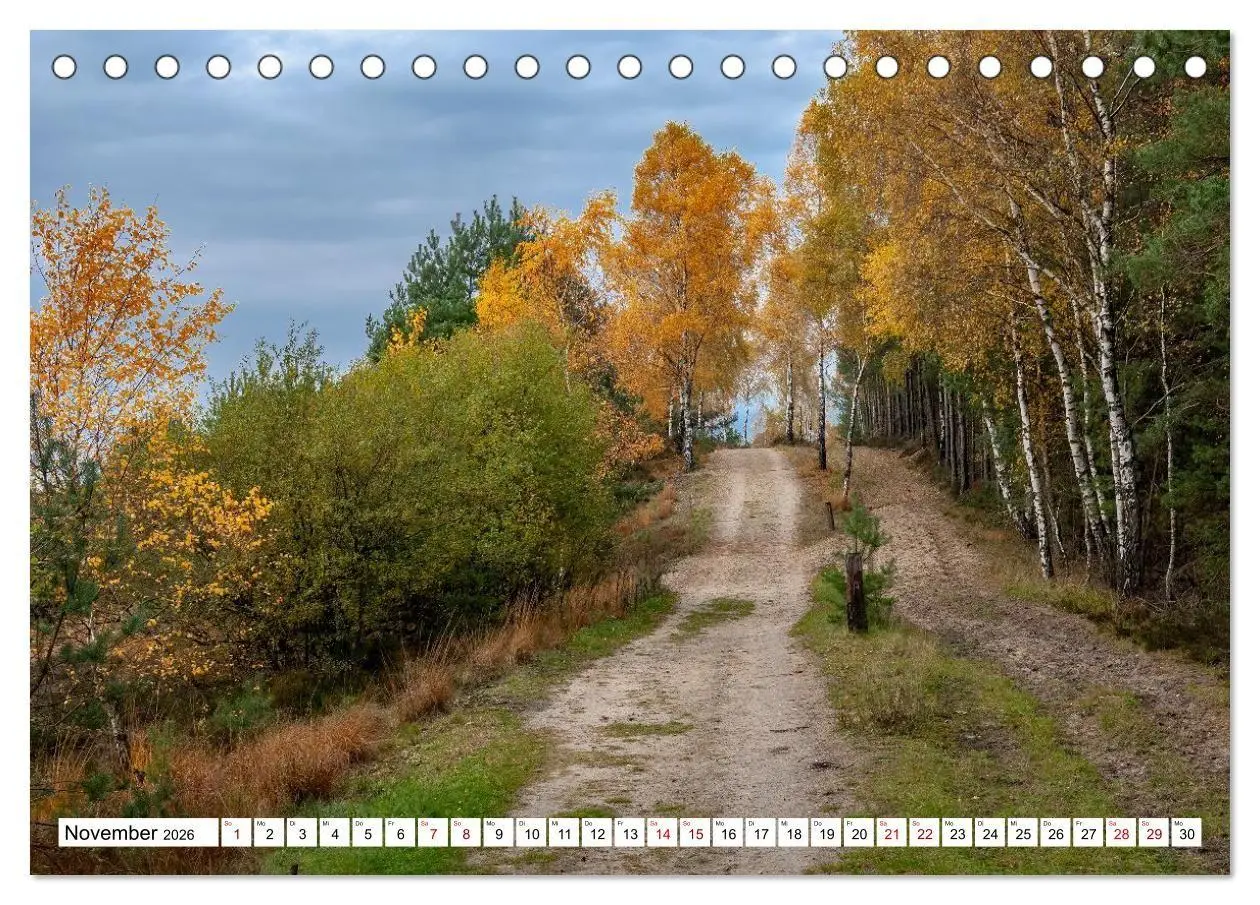 Bild: 9783516717136 | Lüneburger Heide: Die Nordheide (Tischkalender 2026 DIN A5 quer),...