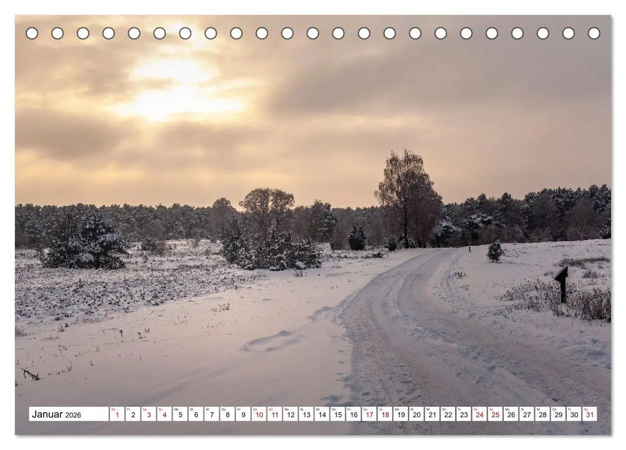Bild: 9783516717136 | Lüneburger Heide: Die Nordheide (Tischkalender 2026 DIN A5 quer),...