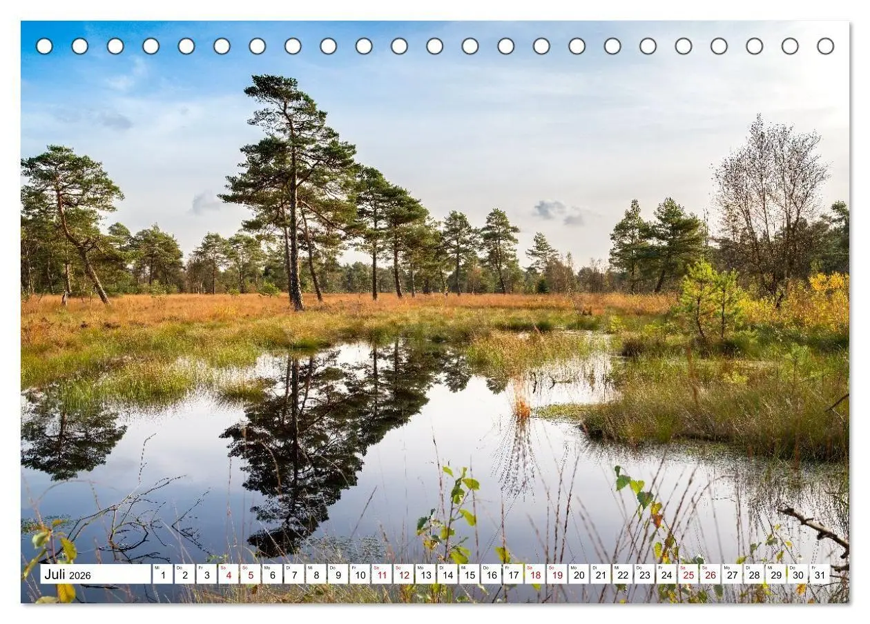 Bild: 9783516717136 | Lüneburger Heide: Die Nordheide (Tischkalender 2026 DIN A5 quer),...