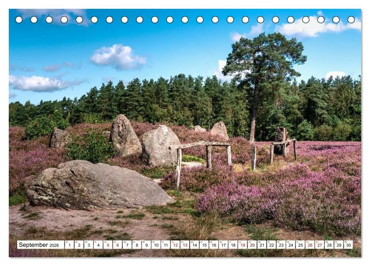 Bild: 9783516717136 | Lüneburger Heide: Die Nordheide (Tischkalender 2026 DIN A5 quer),...