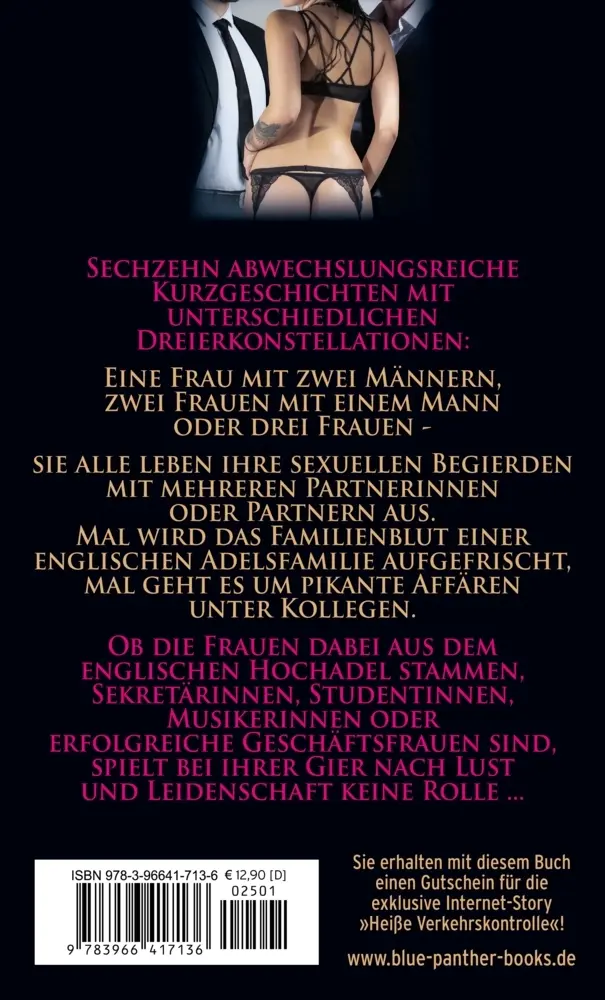 Bild: 9783966417136 | Sex zu dritt Erotische Geschichten | Hannah Stevens | Taschenbuch
