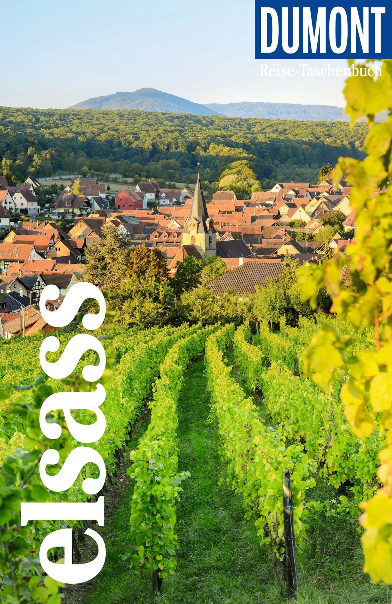 Cover: 9783616007236 | DUMONT Reise-Taschenbuch Reiseführer Elsass | Manfred Braunger | Buch