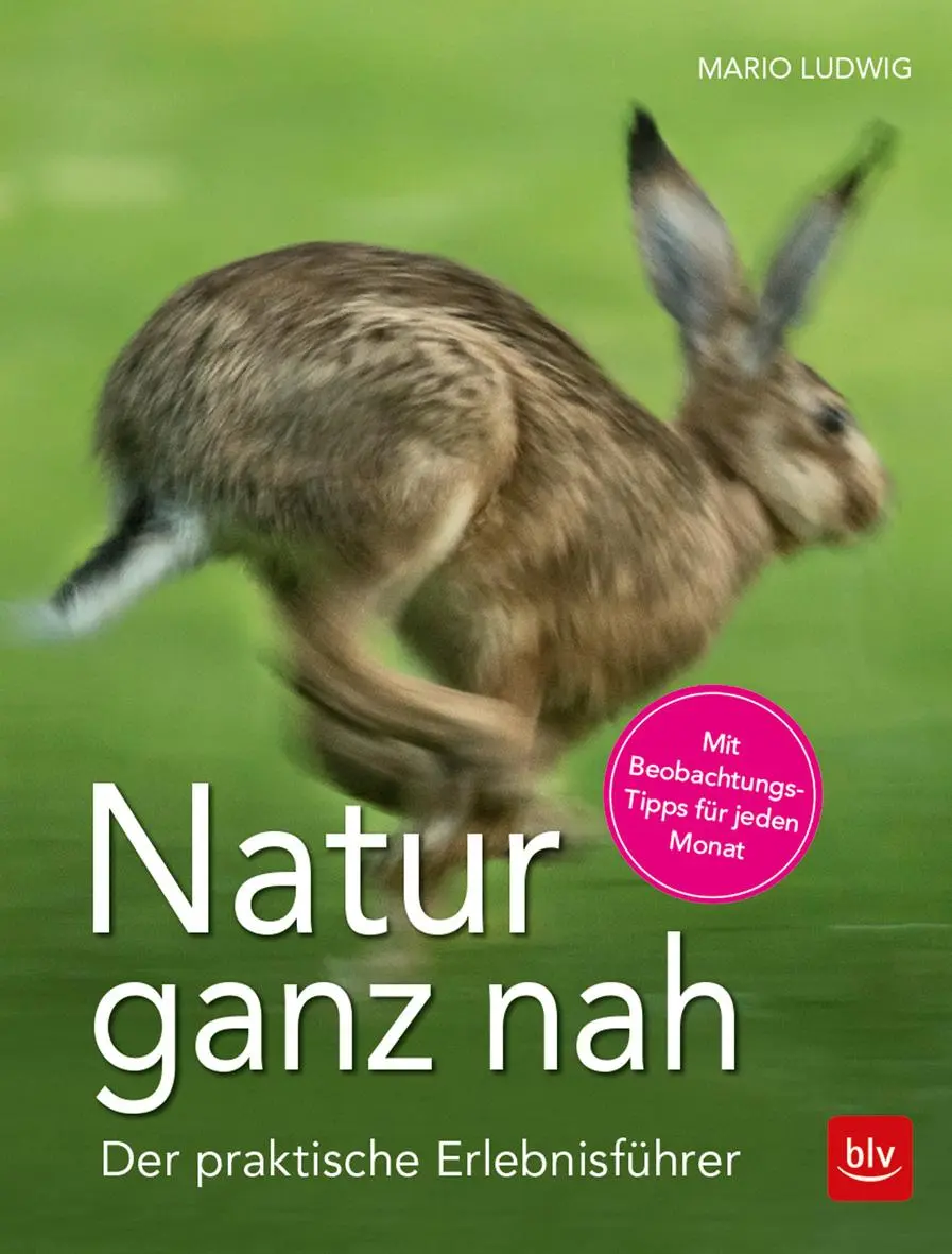 Cover: 9783835417236 | Natur ganz nah | Der praktische Erlebnisführer | Mario Ludwig | Buch