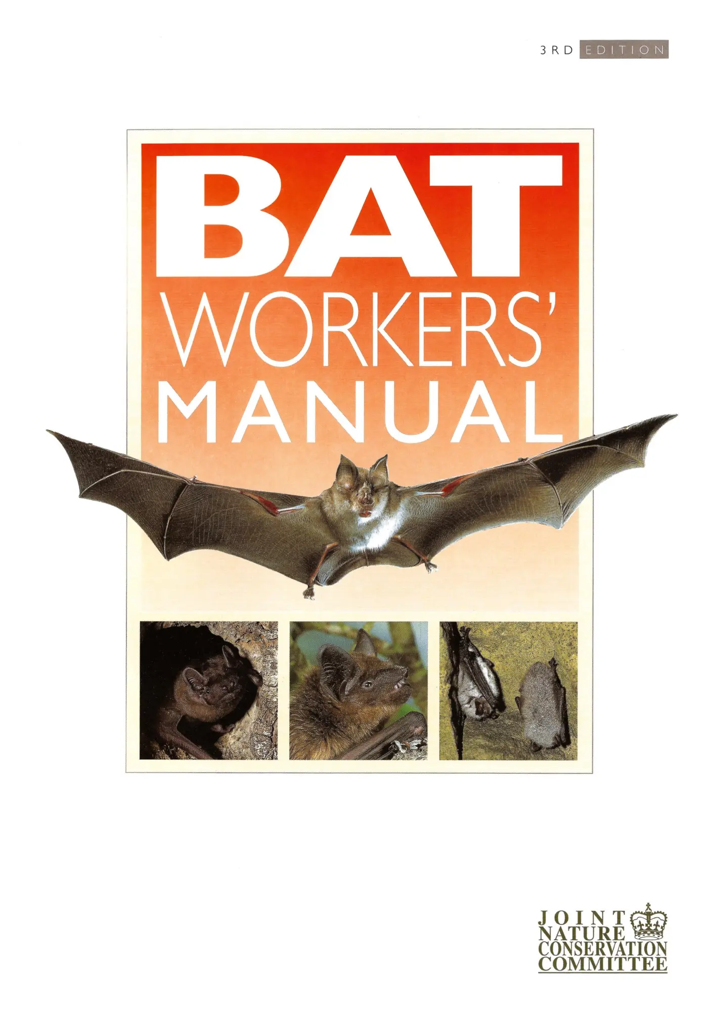 Cover: 9781907807336 | Bat Workers' Manual | Tony Mitchell-Jones (u. a.) | Taschenbuch | 2012
