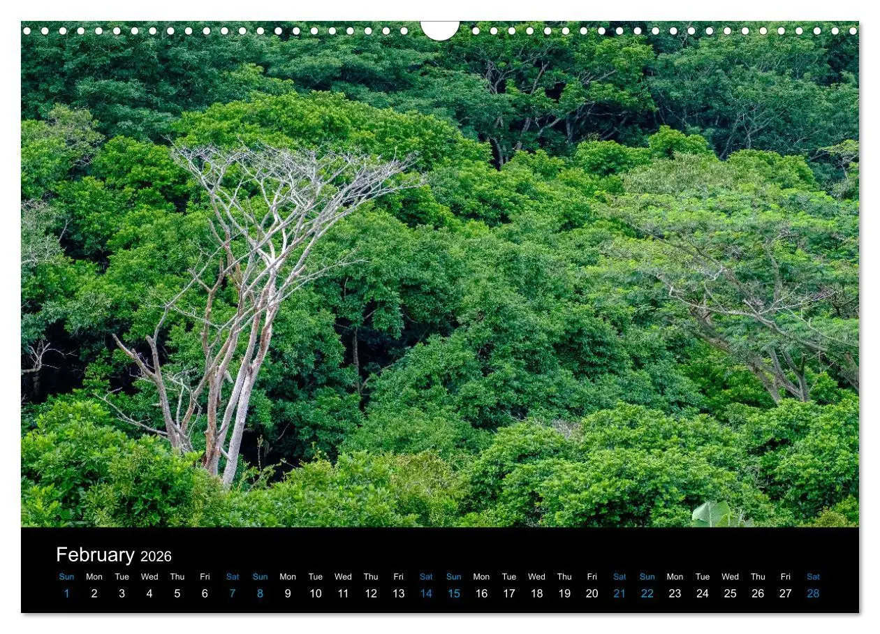 Bild: 9783516557336 | Beautiful Mauritius (Wall Calendar 2026 DIN A3 landscape), CALVENDO...