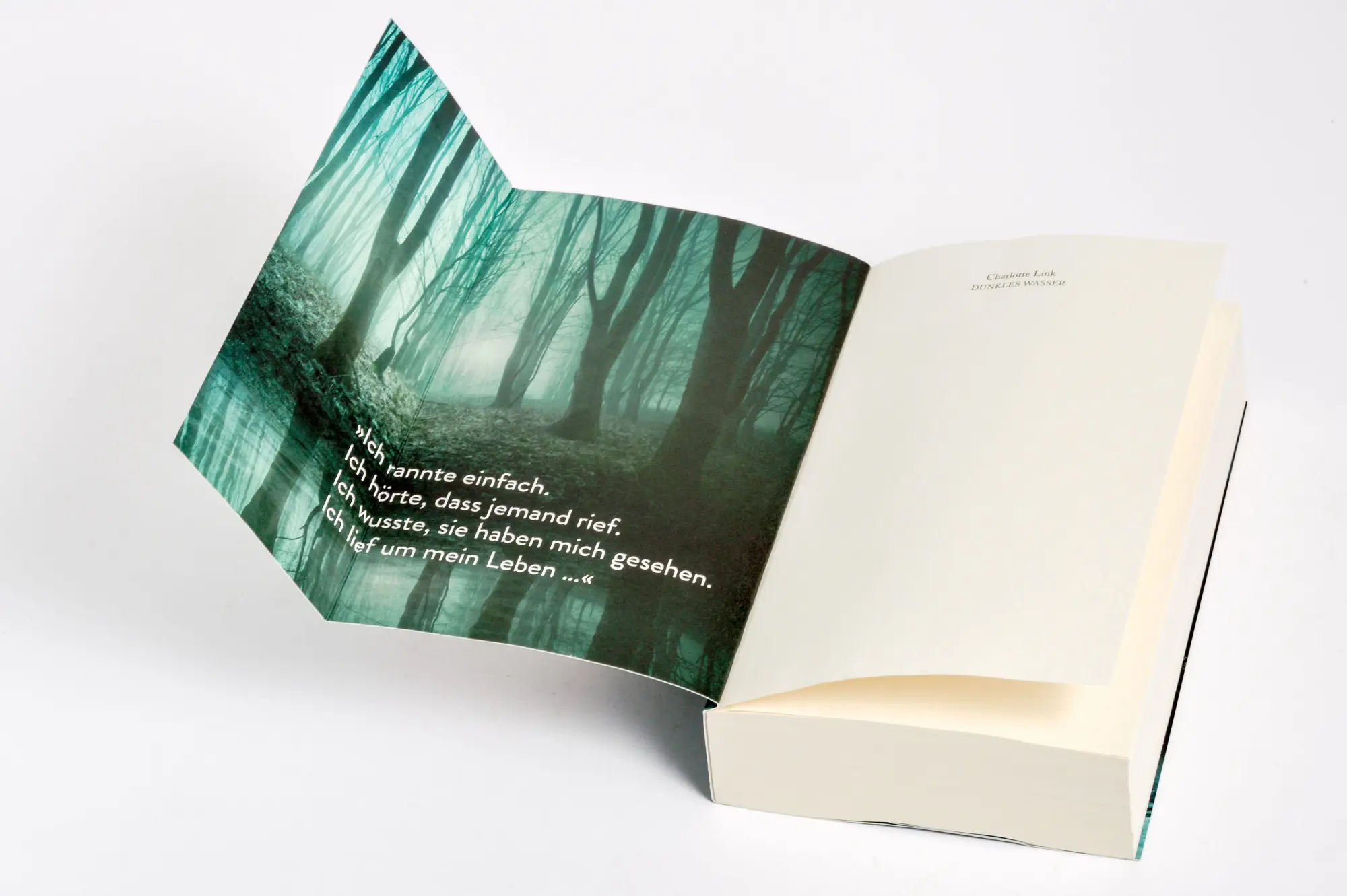 Bild: 9783734107436 | Dunkles Wasser | Charlotte Link | Taschenbuch | 576 S. | Deutsch