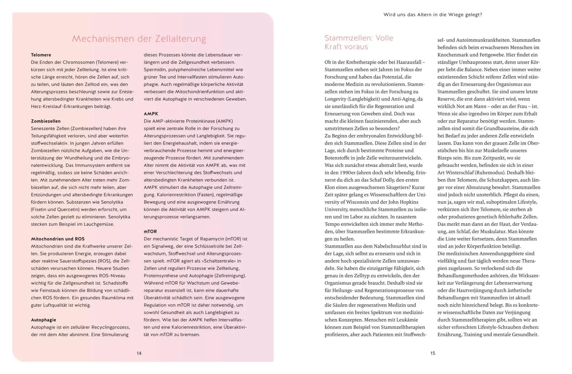 Bild: 9783833897436 | Dein Verjüngungscode | Meike Diessner | Taschenbuch | 192 S. | Deutsch