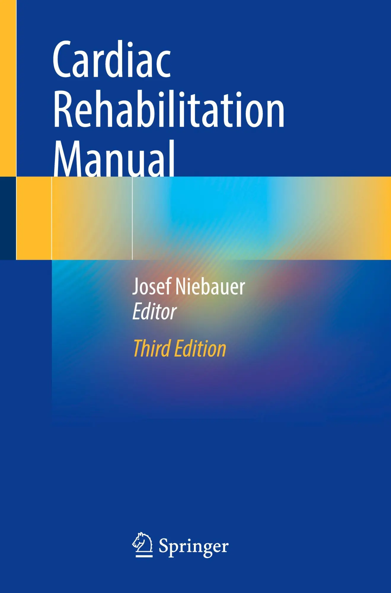 Cover: 9783031957536 | Cardiac Rehabilitation Manual | Josef Niebauer | Taschenbuch | viii