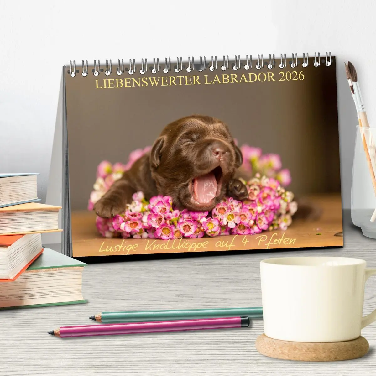 Bild: 9783457997536 | Liebenswerter Labrador 2026 (Tischkalender 2026 DIN A5 quer),...