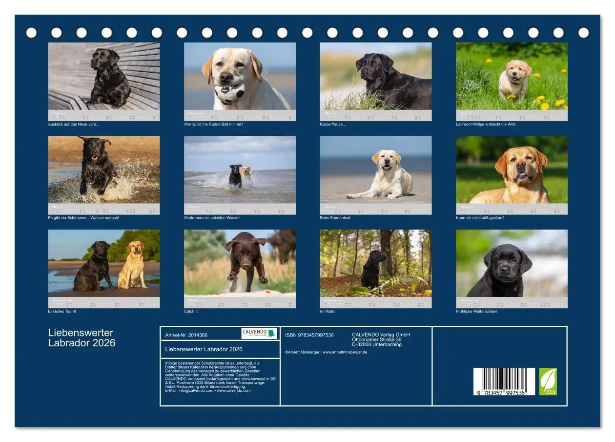 Bild: 9783457997536 | Liebenswerter Labrador 2026 (Tischkalender 2026 DIN A5 quer),...