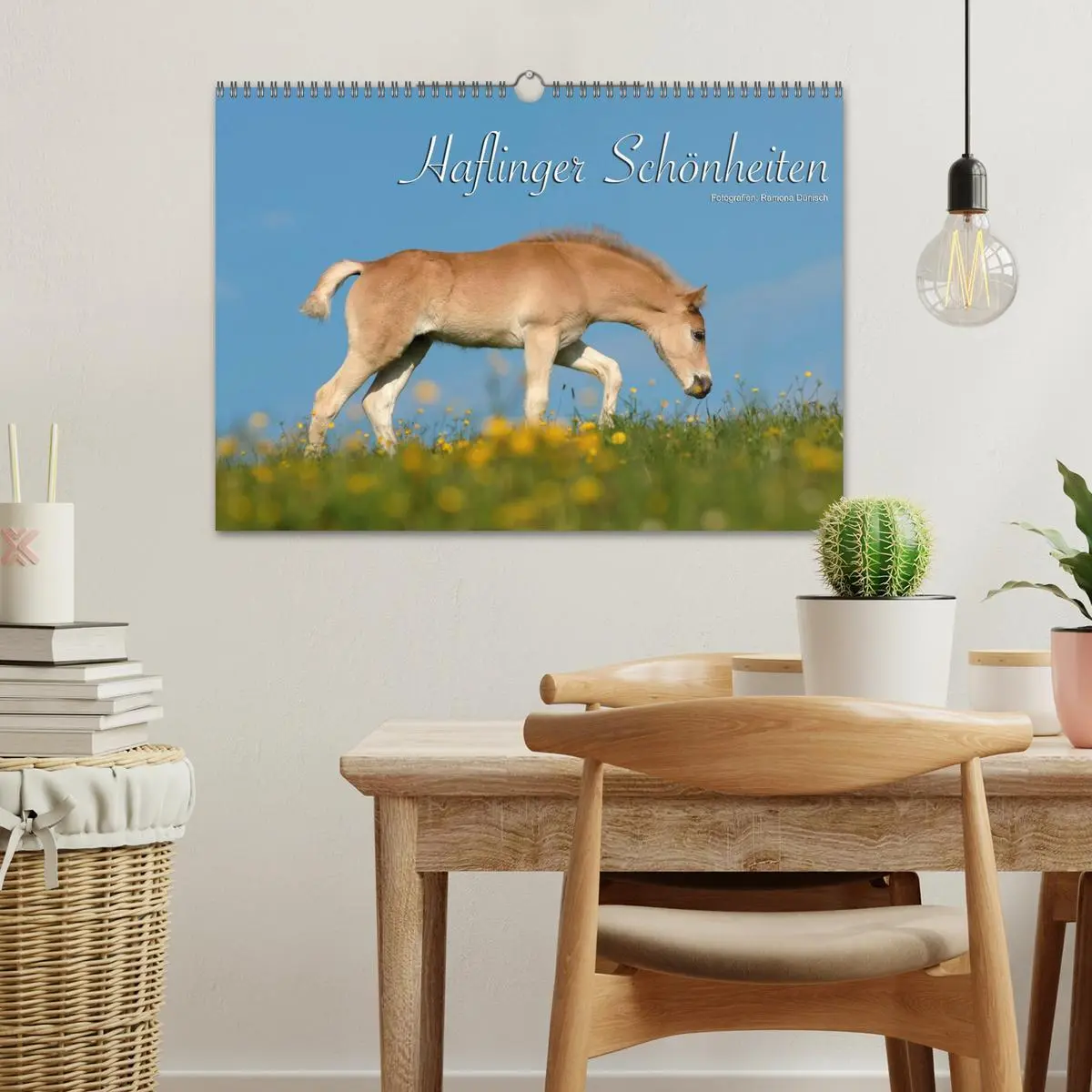 Bild: 9783516157536 | Haflinger Schönheiten (Wandkalender 2026 DIN A3 quer), CALVENDO...