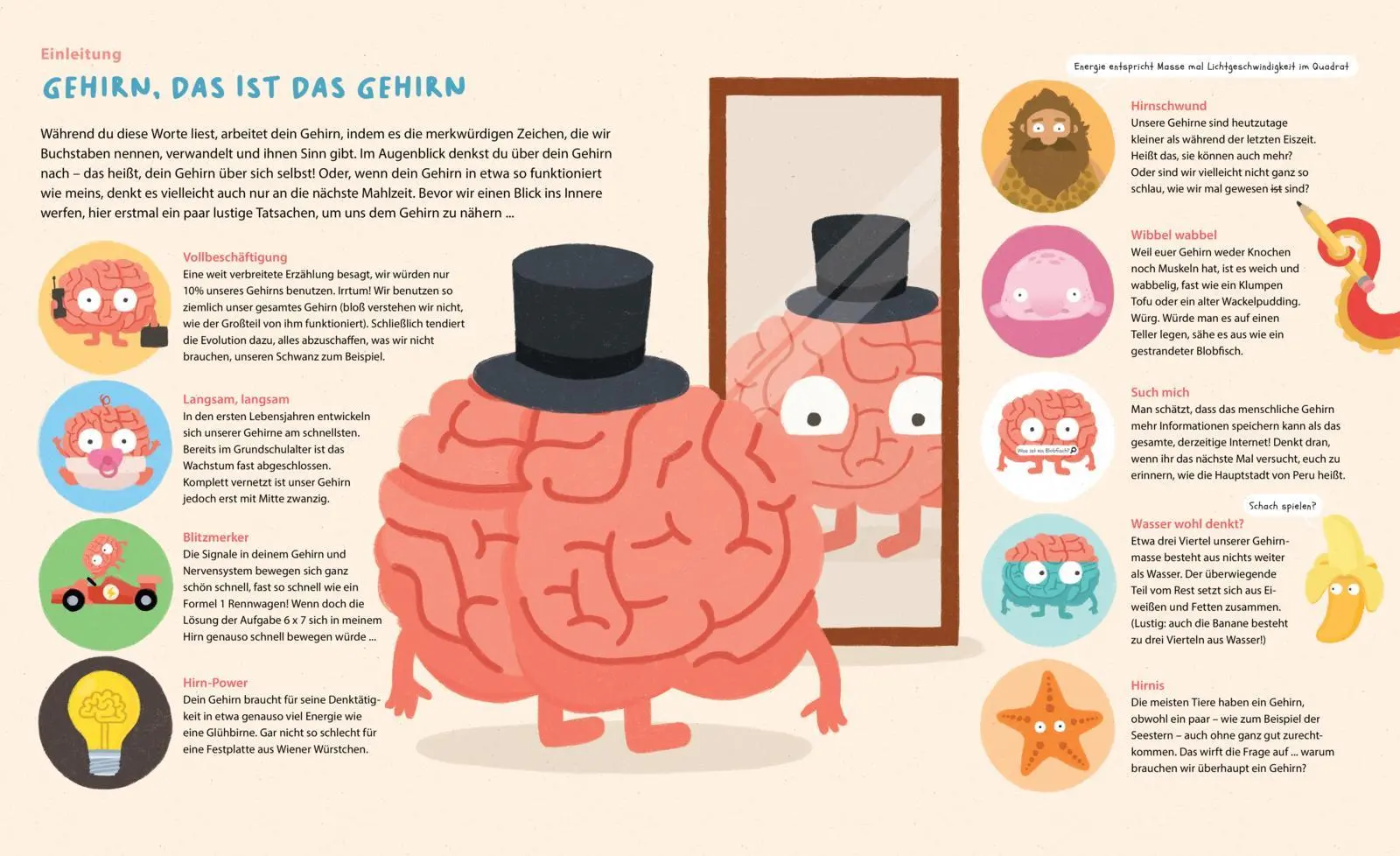 Bild: 9783522307536 | Dein geniales Gehirn | Philip Bunting | Buch | 40 S. | Deutsch | 2025