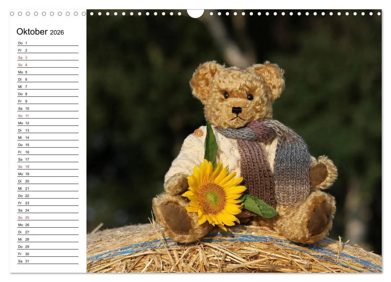 Bild: 9783457987636 | Teddy unterwegs (Wandkalender 2026 DIN A3 quer), CALVENDO...