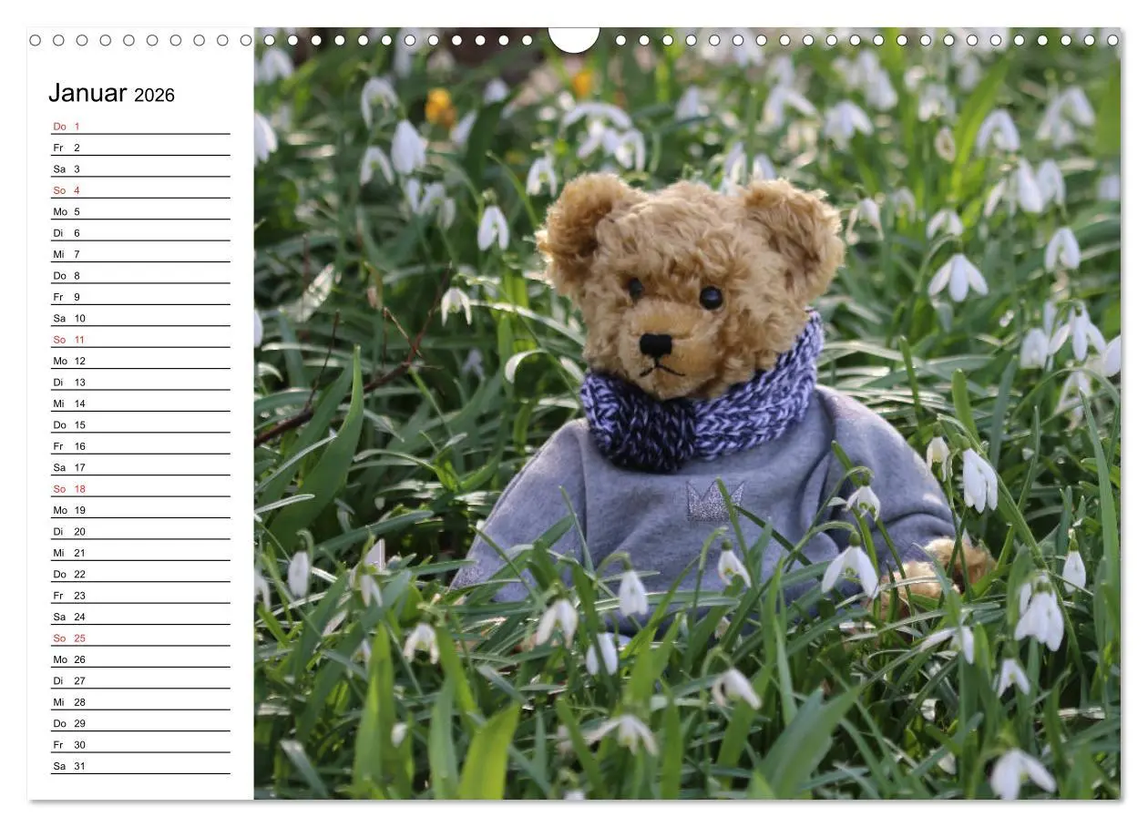 Bild: 9783457987636 | Teddy unterwegs (Wandkalender 2026 DIN A3 quer), CALVENDO...