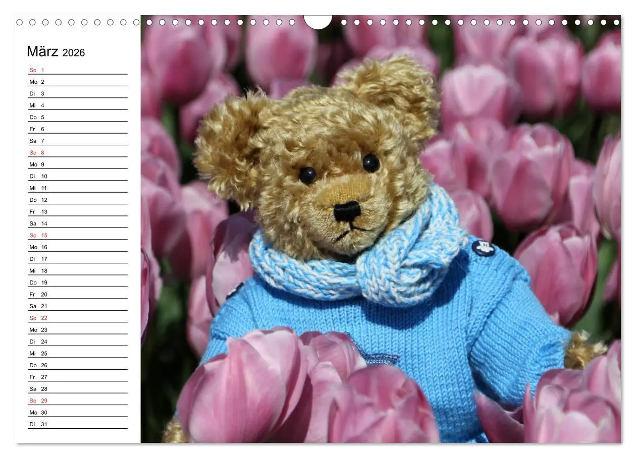 Bild: 9783457987636 | Teddy unterwegs (Wandkalender 2026 DIN A3 quer), CALVENDO...