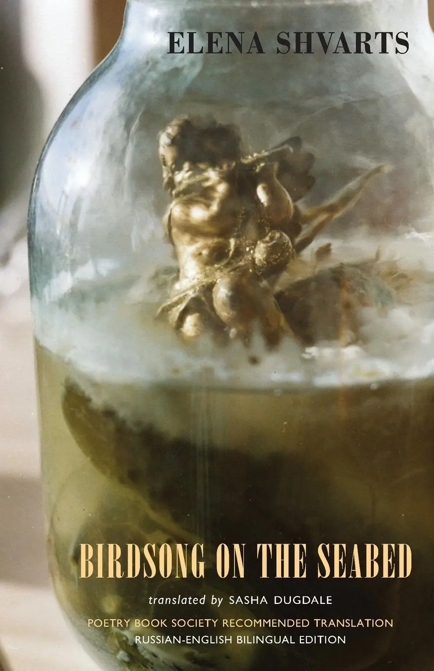 Cover: 9781852247836 | Birdsong on the Seabed | Elena Shvarts | Taschenbuch | Englisch | 2008
