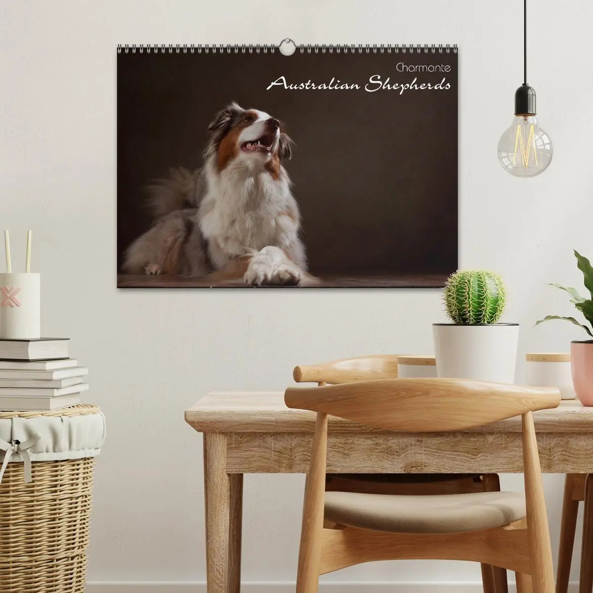 Bild: 9783457897836 | Charmante Australian Shepherds (Wandkalender 2026 DIN A3 quer),...