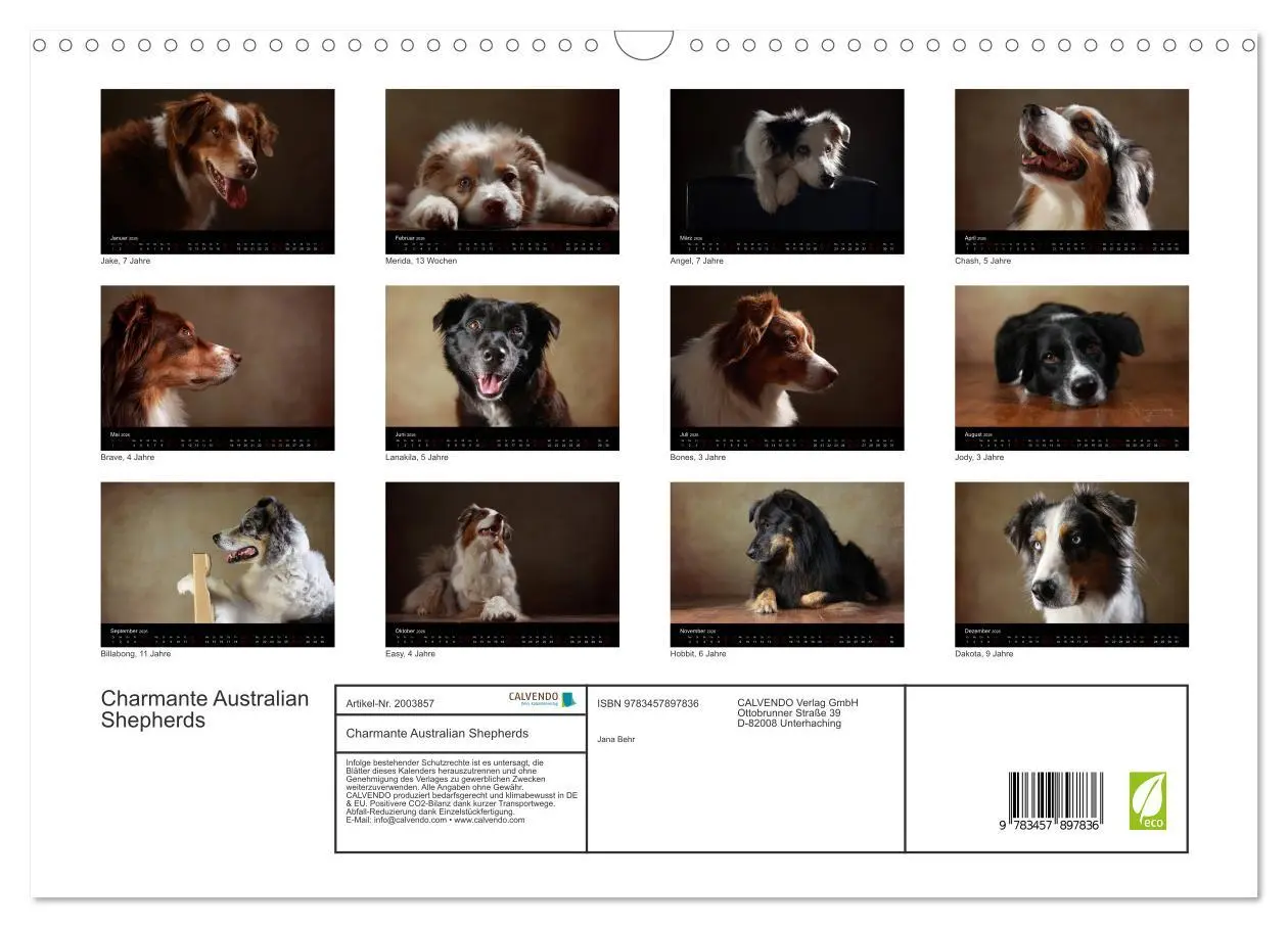 Bild: 9783457897836 | Charmante Australian Shepherds (Wandkalender 2026 DIN A3 quer),...