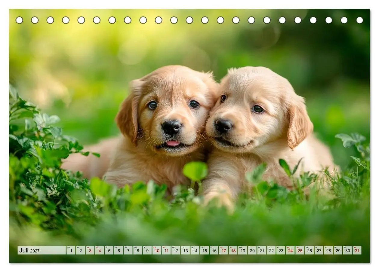 Bild: 9783594267936 | Knuffige Hundewelpen - Freude auf vier Pfoten (Tischkalender 2027...
