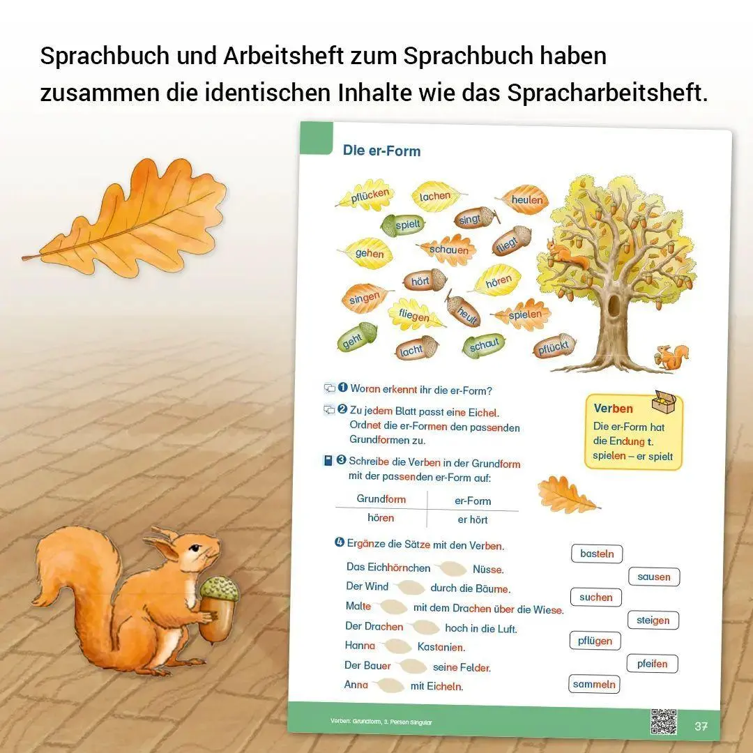 Bild: 9783619247936 | ABC der Tiere 2 Neubearbeitung - Sprachbuch | Mareike Hahn (u. a.)