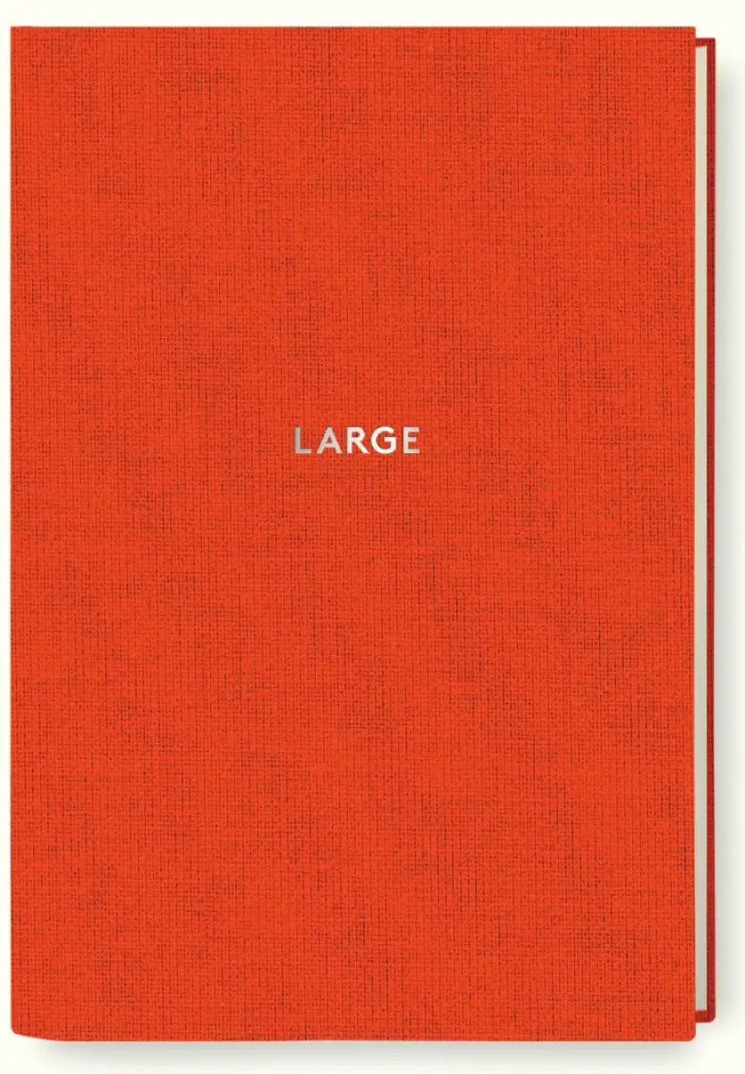Cover: 9783257798036 | Diogenes Notes - large | Diogenes Notes | Buch | 144 S. | Deutsch
