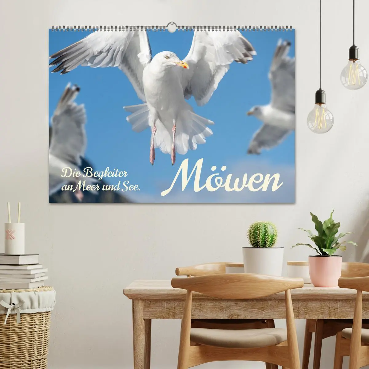 Bild: 9783457398036 | Möwen die Begleiter an Meer und See (Wandkalender 2026 DIN A2...