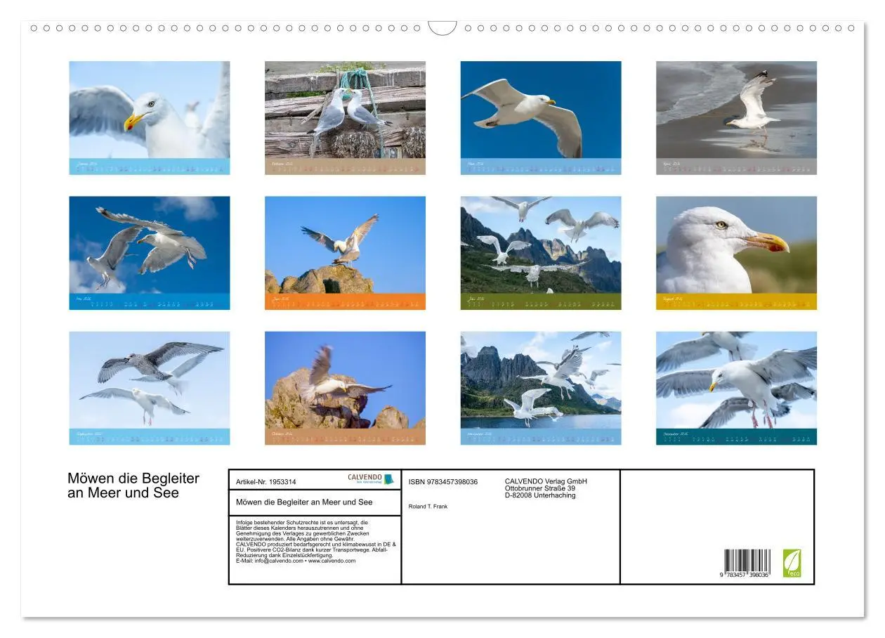 Bild: 9783457398036 | Möwen die Begleiter an Meer und See (Wandkalender 2026 DIN A2...