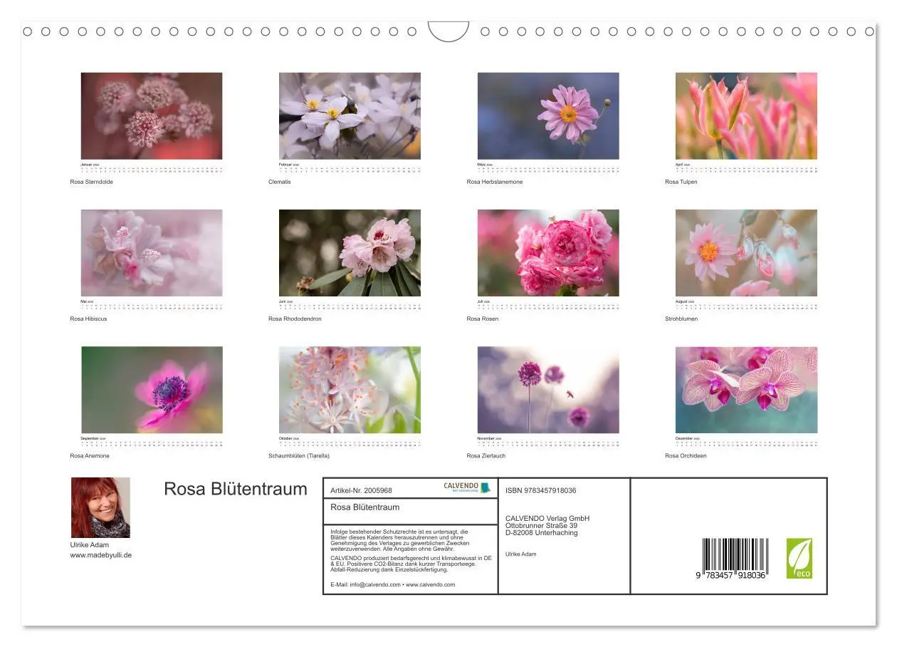 Bild: 9783457918036 | Rosa Blütentraum (Wandkalender 2026 DIN A3 quer), CALVENDO...