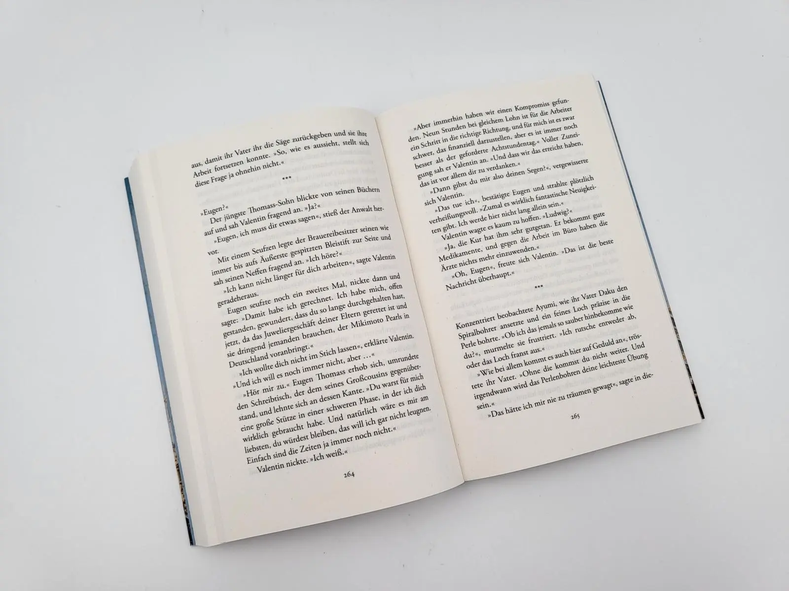 Bild: 9783492318136 | Das Haus der Perlen - Strahlen der Liebe | Charlotte Jacobi | Buch