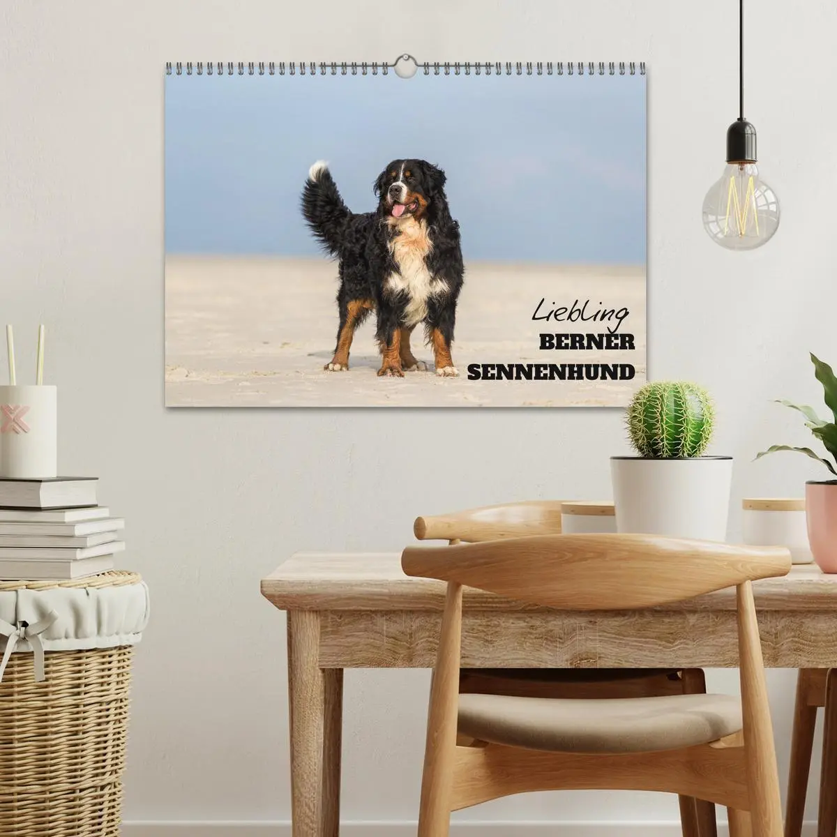 Bild: 9783516098136 | Liebling BERNER SENNENHUND (Wandkalender 2026 DIN A3 quer),...