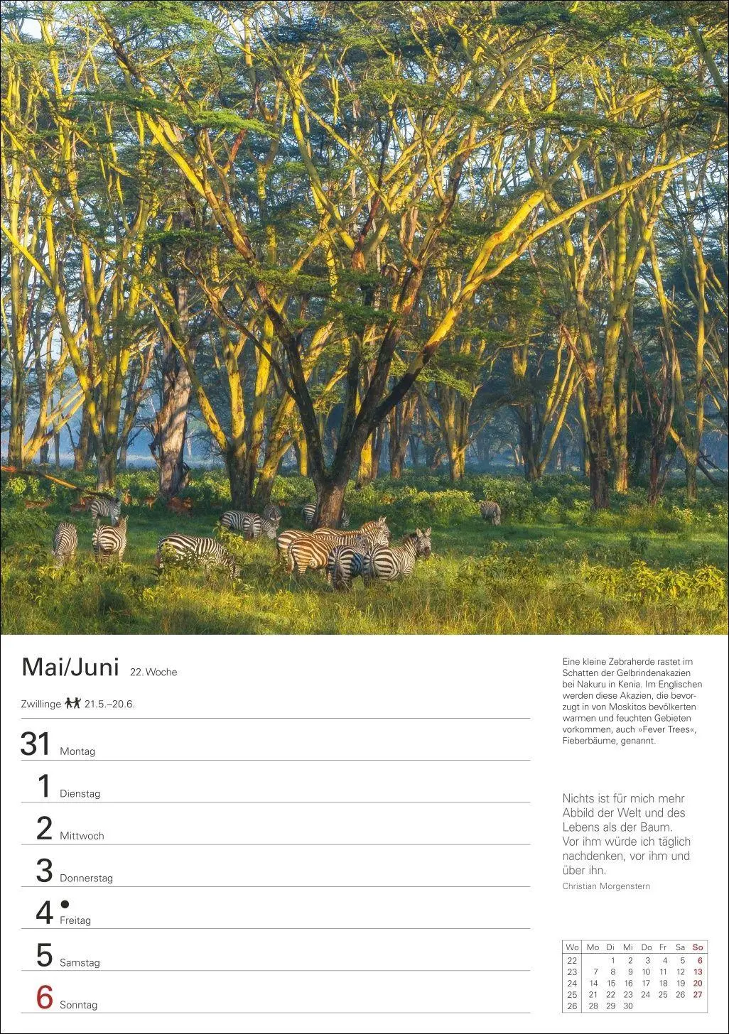 Bild: 9783840038136 | Naturschätze Afrikas Wochenplaner 2027 - Eine Reise in 53 Bildern