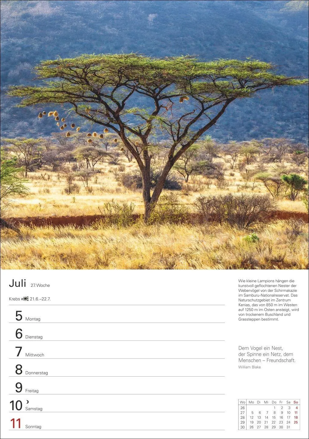 Bild: 9783840038136 | Naturschätze Afrikas Wochenplaner 2027 - Eine Reise in 53 Bildern