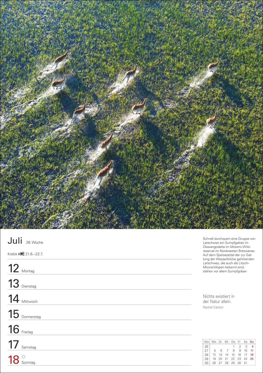 Bild: 9783840038136 | Naturschätze Afrikas Wochenplaner 2027 - Eine Reise in 53 Bildern