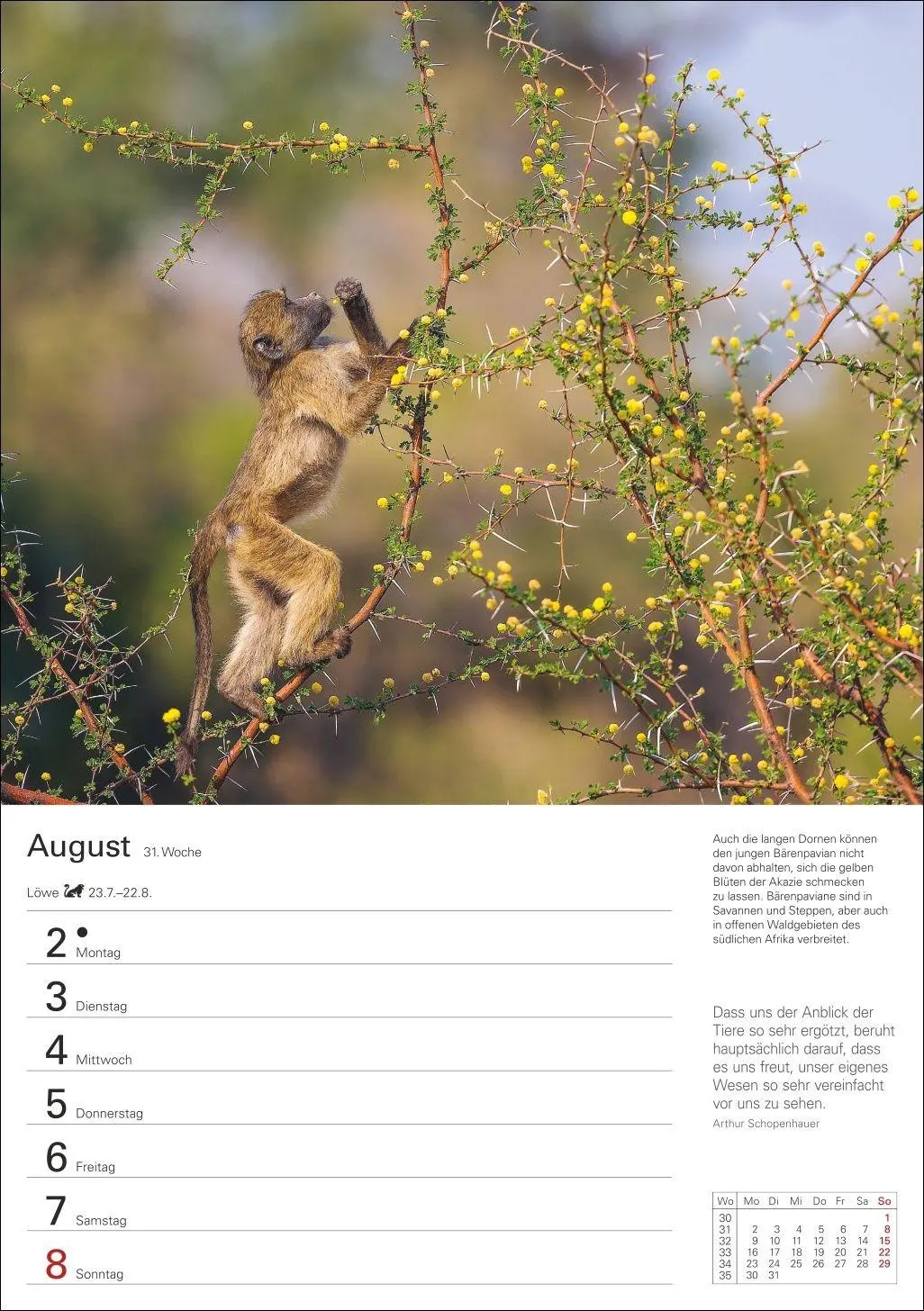 Bild: 9783840038136 | Naturschätze Afrikas Wochenplaner 2027 - Eine Reise in 53 Bildern