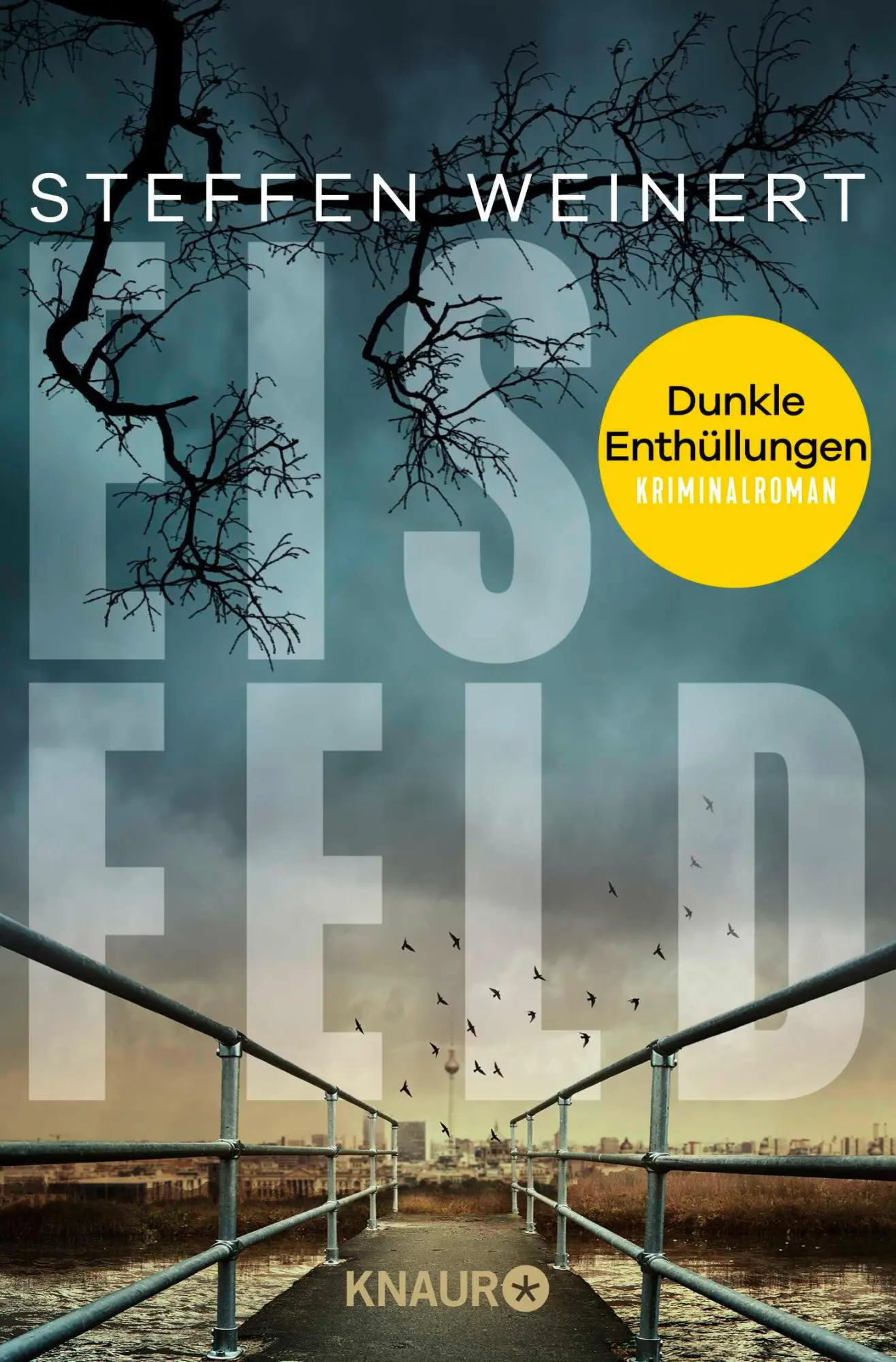 Cover: 9783426448236 | Eisfeld - Dunkle Enthüllungen | Kriminalroman | Steffen Weinert | Buch