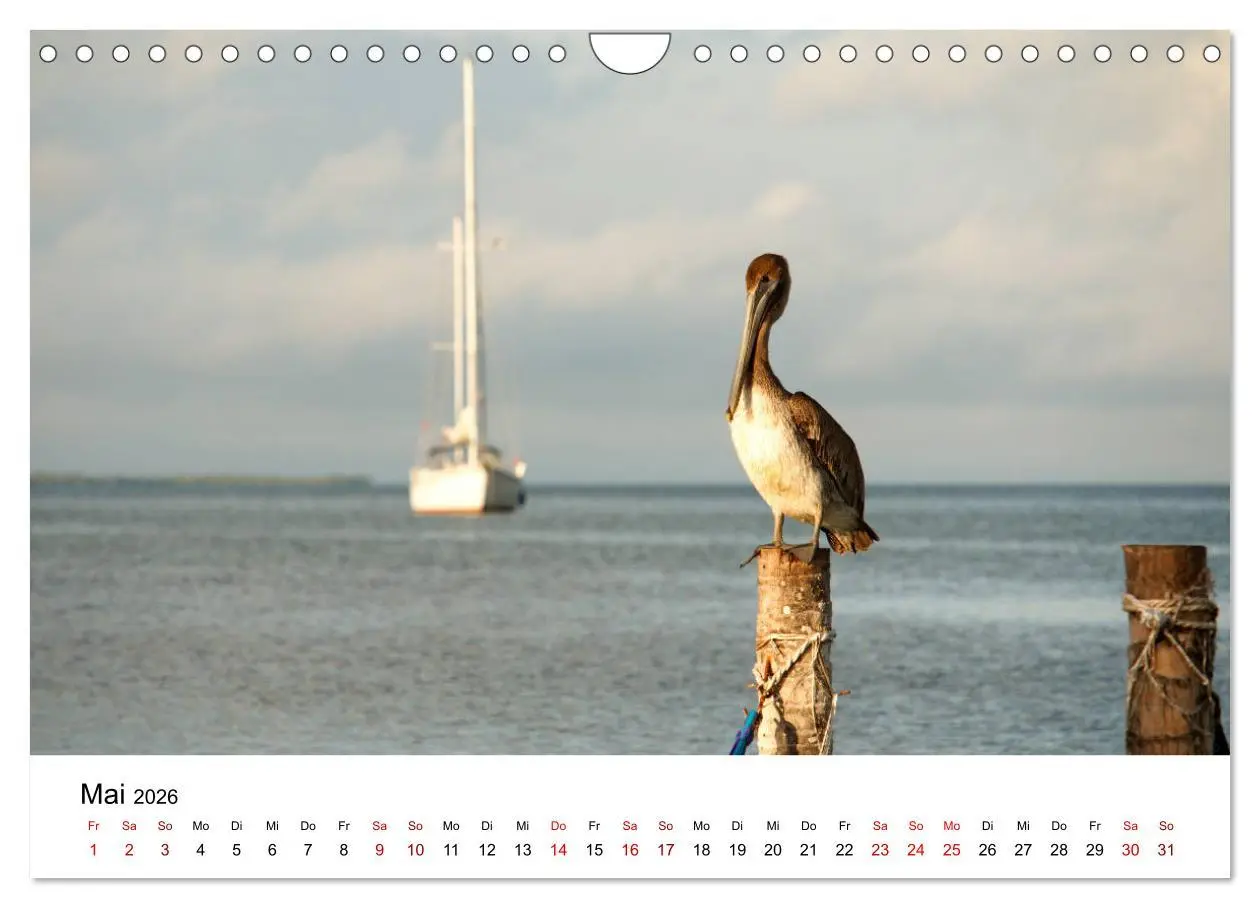 Bild: 9783457688236 | Entlang des Gringo Trail (Wandkalender 2026 DIN A4 quer), CALVENDO...