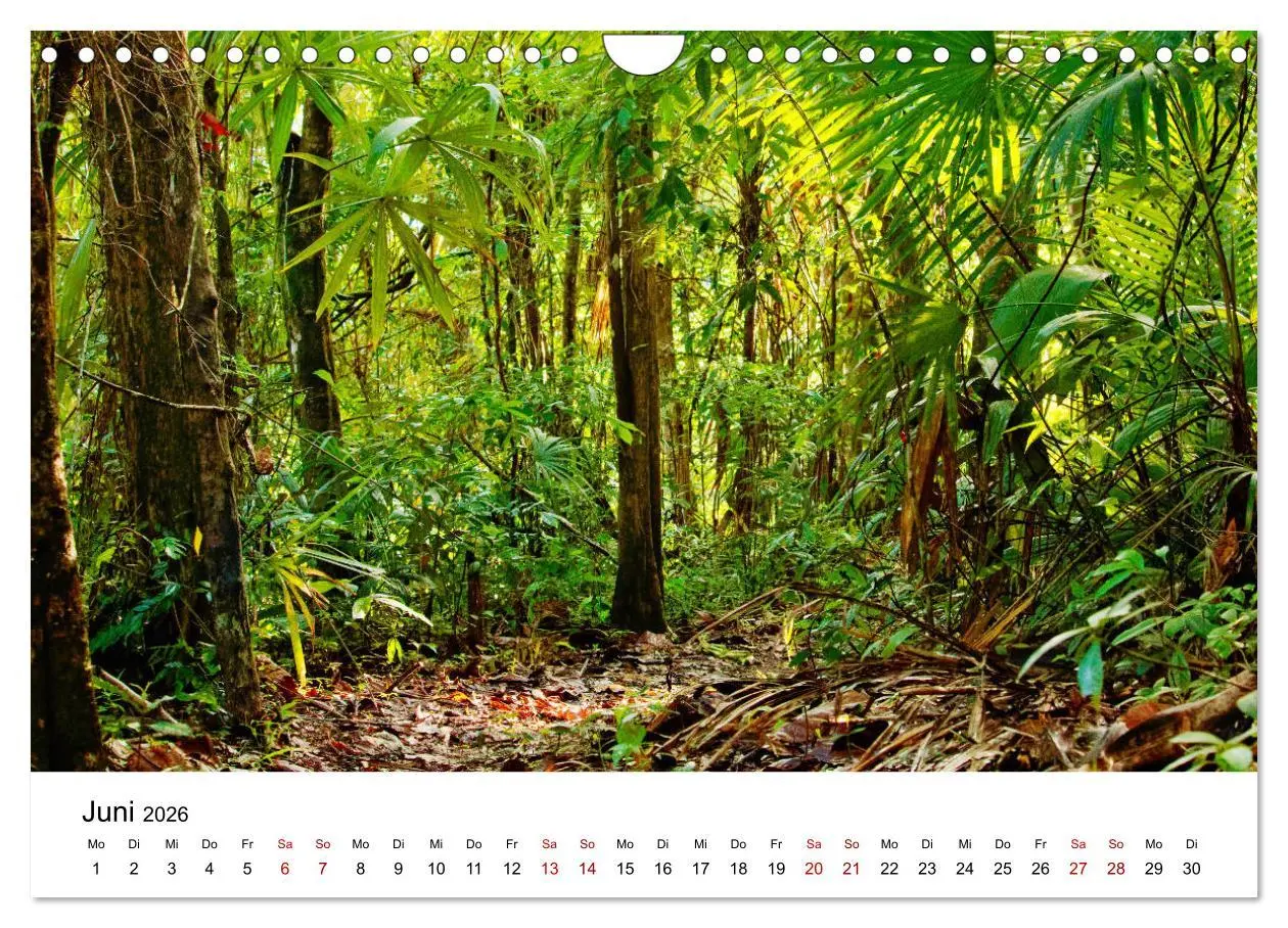 Bild: 9783457688236 | Entlang des Gringo Trail (Wandkalender 2026 DIN A4 quer), CALVENDO...