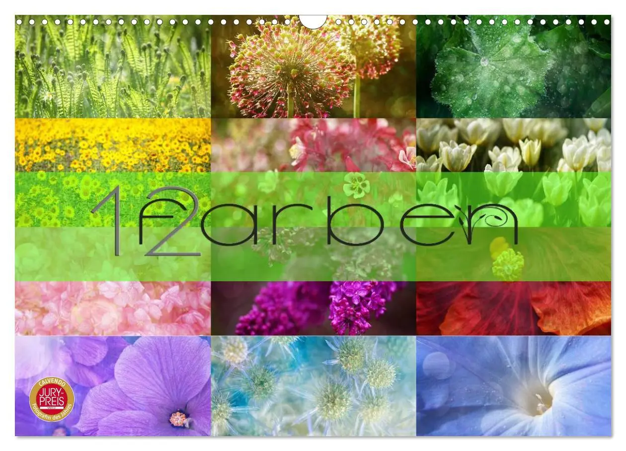 Cover: 9783516228236 | 12 Farben (Wandkalender 2026 DIN A3 quer), CALVENDO Monatskalender
